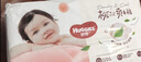 好奇（Huggies）铂金装小桃裤成长裤XXXL26片*4包(17kg以上)【夏季散热王】 实拍图