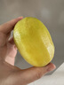 佳沛（zespri）新西兰阳光金果10个装单果重约103-114g 水果礼盒 猕猴桃 实拍图