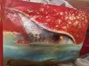 碧芭宝贝大鱼海棠pro拉拉裤XXXL28片(≥18kg)尿不湿超柔超薄透气 裸感腰围 实拍图