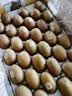 佳沛（zespri）新西兰 阳光金奇异果30-33粒原箱单果103-124g 猕猴桃水果礼盒 实拍图