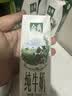 伊利【新鲜日期】金典纯牛奶早餐奶250ml*16盒3.6g乳蛋白 礼盒装 5月 实拍图