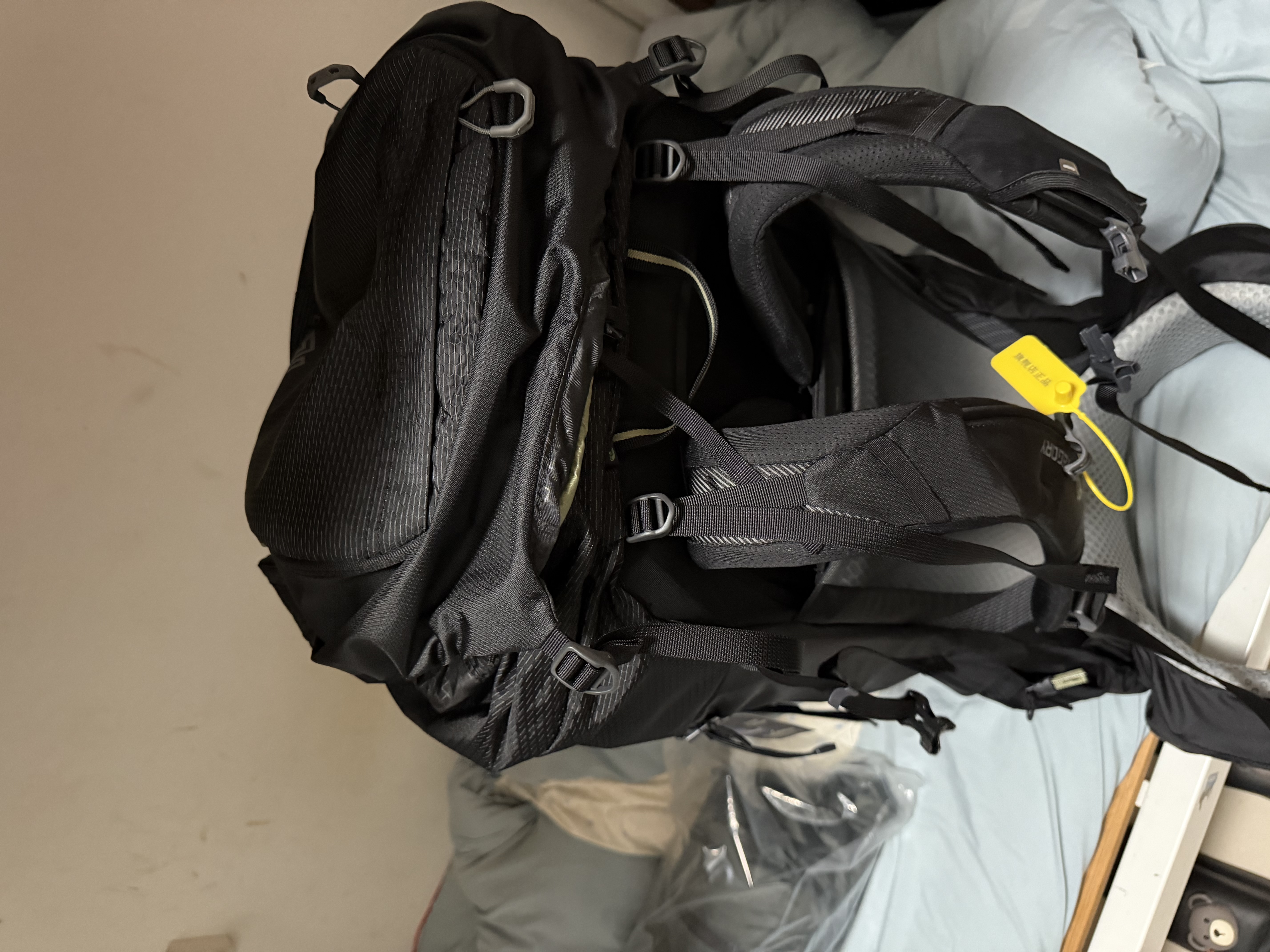 GREGORY格里高利 26年新款 穿岳B65B75户外运动大容量重装徒步旅行登山包 75L-影松黑（无防雨罩） S 实拍图