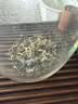贵天下贵州特级都匀毛尖绿茶 2026年明前栗香型茶叶 125克一罐装 纯手工 实拍图