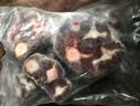 澳洲谷饲原切牛尾骨生鲜牛肉去皮炖煮儿童牛尾骨冷冻火锅食材年货 澳洲谷饲牛尾骨净重2斤 实拍图