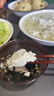 天下牌HC-100型A1款磨浆机家用肠粉米皮凉糕米糕米浆机豆浆豆花豆腐机小型电动多功能仿石磨机干湿两用 A2 标准磨盘 10L 实拍图