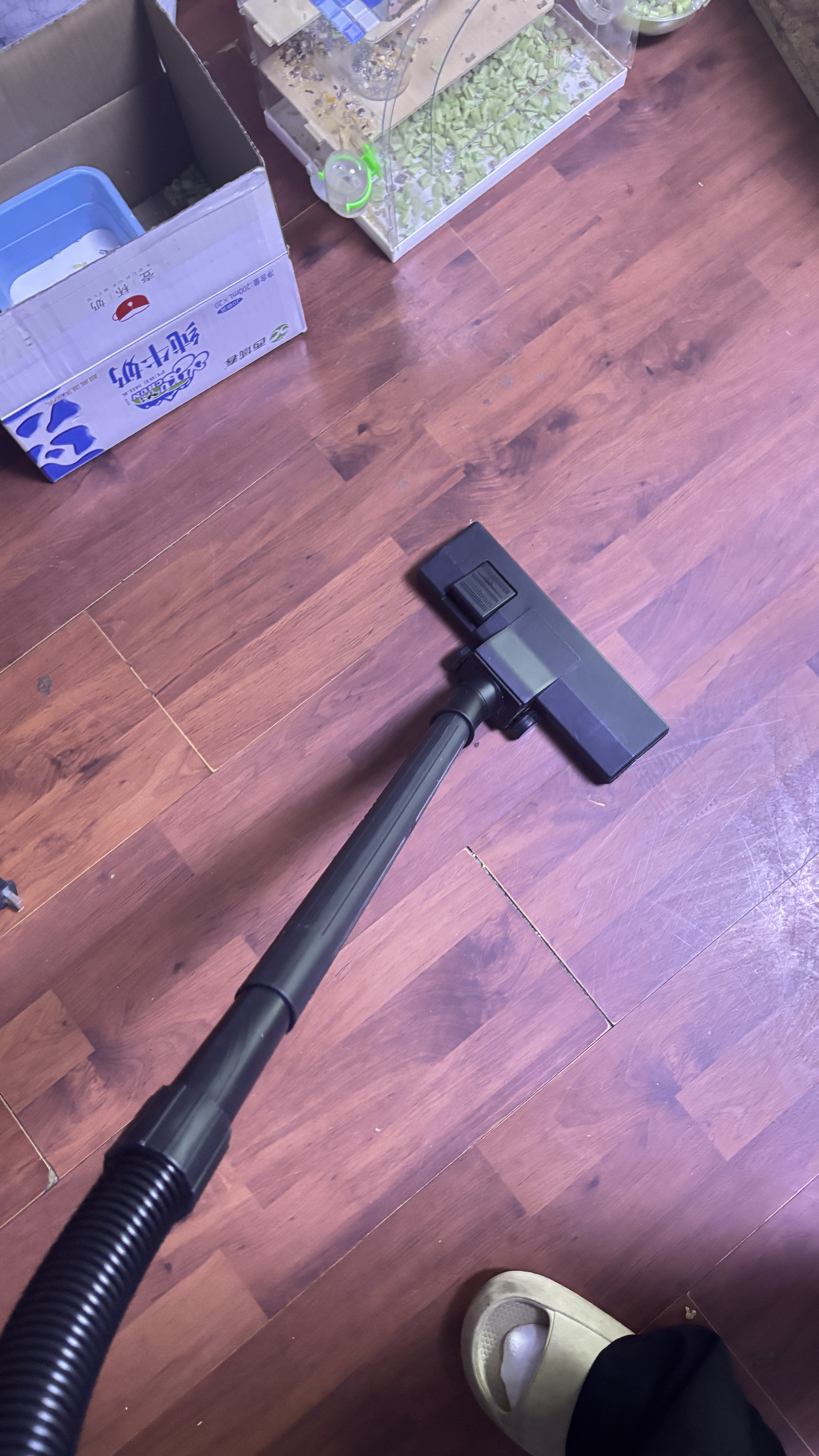 扬子吸尘器家用大吸力商用工业峰值2500W大功率除尘机15L大容量酒店地毯开荒保洁装修车载桶式吸尘机 实拍图