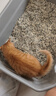 pidan猫砂 天然钠基球型猫砂2.4kg*4包 球型膨润土砂京东自营 实拍图