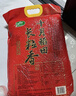 十月稻田 寒地之最 东北长粒香大米 8斤*4/箱装（品质甄选 16kg/32斤） 实拍图