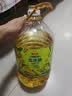 金龙鱼 食用油 非转基因 物理压榨玉米油6.18L（蕴含植物甾醇） 实拍图