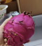 京鲜生 广西红心火龙果 净重4.5斤装 超大果 单果500g+ 新鲜应季水果 实拍图