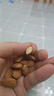 老街口巴旦木仁250g扁桃仁大杏仁无添加健康坚果孕妇休闲零食干果年炒货 盐焗味250g+原味250g 实拍图