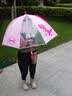 牧萌儿童雨伞宝宝防晒遮阳太阳伞晴雨两用便携直柄伞 粉色公主恐龙 实拍图