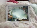 Apple苹果ipad9/10/Pro2022/21/20款 /air5/mini7/6二手平板电脑 iPad 8代 实拍图
