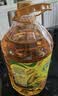 金龙鱼 食用油 非转基因 物理压榨玉米油6.18L（蕴含植物甾醇） 实拍图