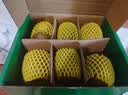 佳沛（zespri）新西兰  阳光金奇异果6粒装 单果约88-103g 猕猴桃水果 实拍图
