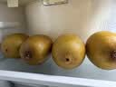 佳沛（zespri）新西兰阳光金果4粒装单果约103-114g 猕猴桃新鲜水果源头直发 实拍图