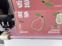 京鲜生 红心珍珠芭乐/番石榴 净重3斤 单果150g+ 生鲜水果礼盒 实拍图