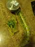 起点如日（QIDIANRURI）厨房洗菜盆下水管防臭单槽不锈钢下水管下水器套装水槽下水器套装 通用110下水器+40cm管【升级精铜接头 生锈/漏水包退】 实拍图