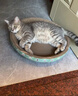 疯狂的主人 猫抓板窝超大号猫玩具猫爪板猫抓盆不掉屑猫窝碗形圆形瓦楞纸 实拍图