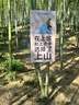 多力【保真菜籽油】芥花油5L 非转基因高油酸食用油粮油植物油 实拍图