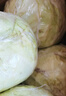 山东新鲜甘蓝包菜卷心菜圆白菜新鲜嫩绿莲花白现摘现发早餐减脂 新鲜包菜 2.8斤净重 人工挑拣 实拍图