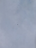 Edison爱迪生小学生书包女护脊减负大容量防泼水防下坠儿童背包2215-1s 实拍图