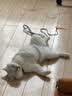 小熊（Bear）绞肉机家用小型 绞馅机 搅肉机 打蒜机电动 碎肉机 辅食机 2026新款家用QSJ-L03P1 实拍图