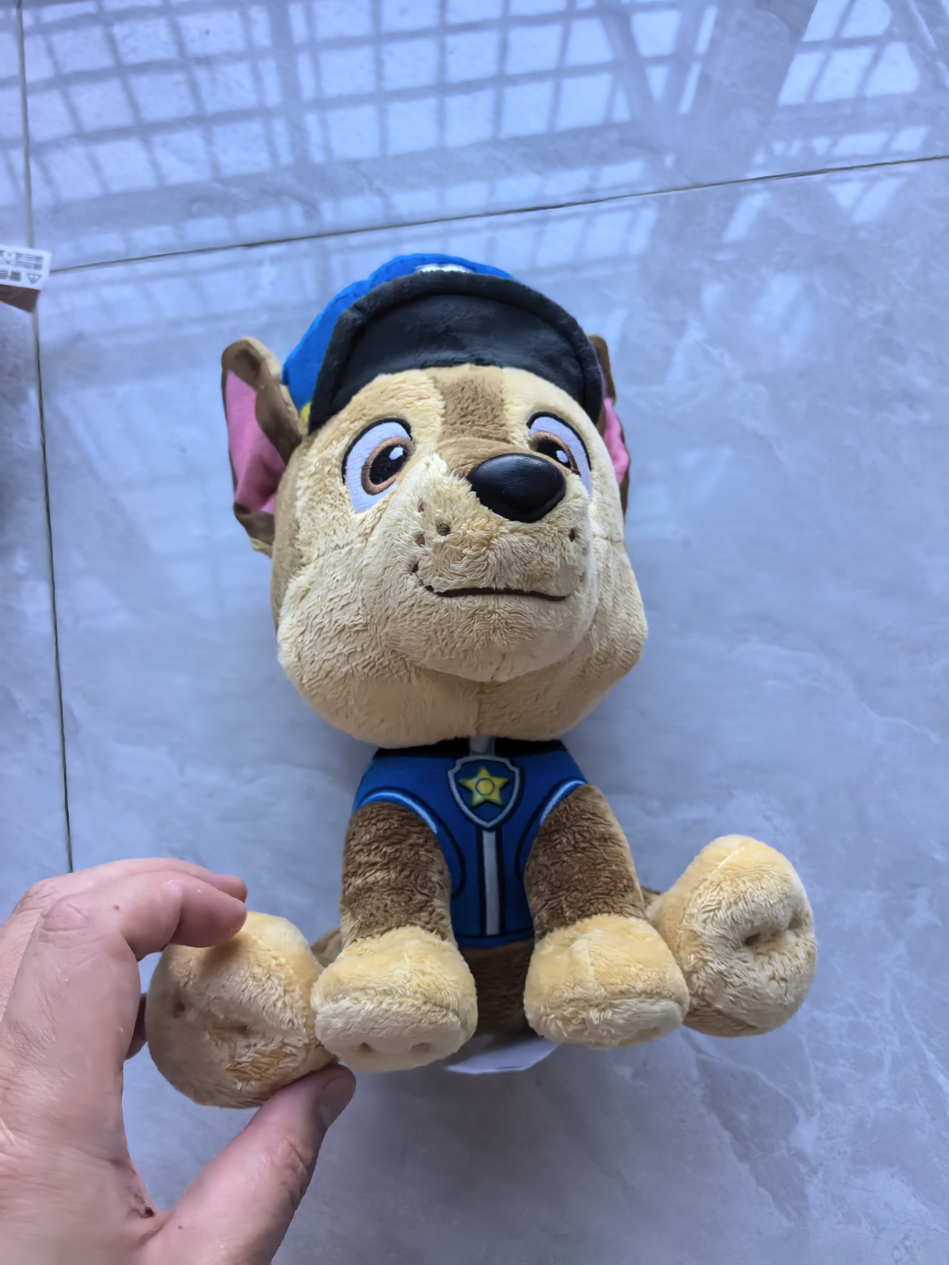 汪汪队立大功（PAW PATROL）毛绒玩具陪睡玩偶经典款阿奇中号坐姿公仔男女孩儿童生日礼物 实拍图