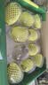佳沛（zespri）新西兰阳光金果10个装单果重约103-114g 水果礼盒 猕猴桃 实拍图