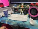 罗技（Logitech）Wave Combo 无线人体工学键鼠套装 垂直鼠标 无线蓝牙鼠标 办公键盘 无线键盘 蓝牙键盘 白色 实拍图