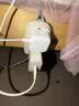 Apple/苹果 40W type-c快充充电器 苹果usb-c原装充电头 旗舰店新款苹果iPhone 17 Pro Max充电器 实拍图
