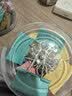 新时达48只桶25mm彩色长尾票夹 电泳工艺不掉漆 环保涂料无异味 金属夹 简约风格 实拍图