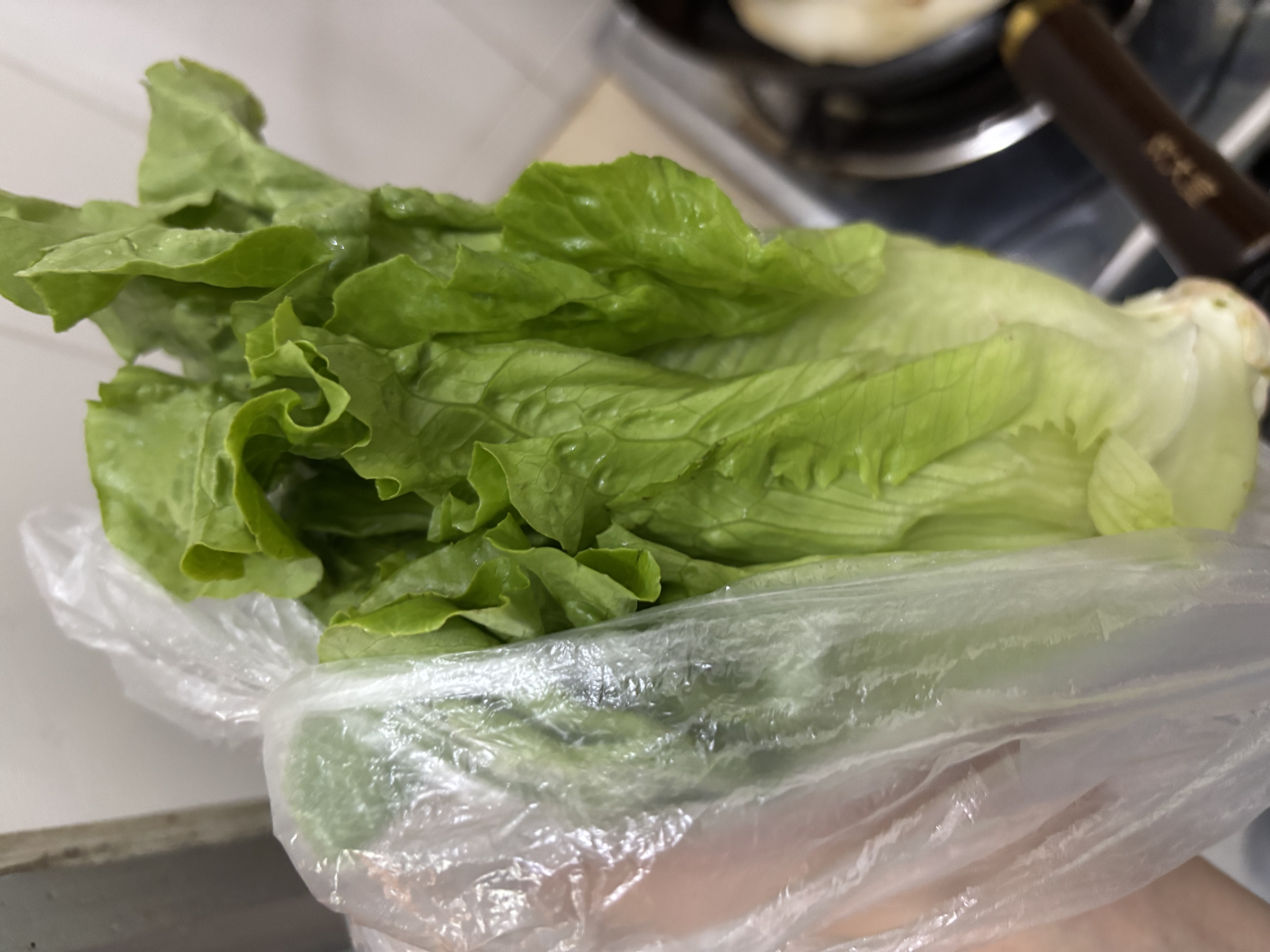 云南鲜生菜约400g 实拍图