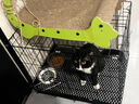 贝初众狗笼子大中小型犬带厕所折叠便携猫笼子超大号狗狗围栏宠物笼 黑色60*42*50cm【15斤内】 托盘+脚垫 折叠免安装 实拍图