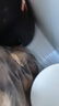 婴享儿童糕点面粉无小麦无麸质烘焙含婴儿宝宝辅食食谱小米原味505g 实拍图