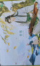 【黄夫人官方指定店】2027新高考 黄夫人高中物理讲义 高一高二+一轮复习含配套视频课程全国文理通用教辅 2026版黄夫人物理 【2套】黄夫人物理高一高二+二级结论 实拍图