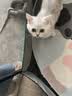 好主人金装好主人猫粮2.0 成猫幼猫蓝猫英短通用全价无谷冻干 【试吃装】金装幼猫粮400g 实拍图