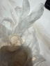 英科医疗一次性手套PVC手套100只加大码餐饮洗碗厨房美容家务防水橡胶手套 实拍图