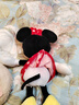 迪士尼（Disney）毛绒玩具米老鼠公仔安抚玩偶抱枕摆件布娃娃生日礼物送女生 米妮 实拍图