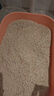 pidan猫砂 纯豆腐猫砂2.4kg*4包强力吸臭不易带出 可冲厕所非膨润土砂 实拍图