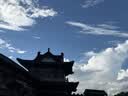 TEEIS德国护膝夏季薄款保暖关节炎半月板损伤男女士专用运动防护老寒腿 蚕丝透气防滑护膝 均码丨80-180斤通用 丨两只装 实拍图