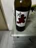 京东京造特选6 鸿干红葡萄酒750ml*6瓶整箱装 红酒 新疆 送礼 金奖 实拍图