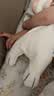 澳贝（auby）婴幼儿玩具抗菌小兔安抚巾宝宝哄睡神器阿贝贝玩偶新生儿满月礼物 实拍图
