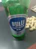 崂山啤酒（laoshan beer）精品经典 316ml*24瓶 青岛崂山啤酒 传统工艺酿造 啤酒整箱 316mL 24瓶 整箱装 实拍图