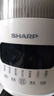夏普SHARP小蜜蜂破壁机新款家用无渣豆浆机免煮多功能全自动轻音辅食大容量直流电机EM-B130N-C 主推款【直流电机+16叶有钛刀头】 实拍图