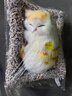 毛绒仿真猫会叫睡猫汽车摆件竹炭垫子猫净化空气家居装饰礼品玩偶 款式20 晒单实拍图