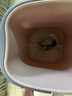 金泰康儿童泡脚药包40g*30包 鼻塞鼻炎流涕泡澡药浴艾草宝宝足浴三伏天 实拍图