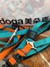 petlimit狗狗胸背带牵引绳泰迪金毛中小型宠物用品幼犬遛狗链子 青桔L 实拍图