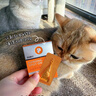 普安特宠物猫咪驱虫药体外驱虫滴剂幼猫跳蚤寄生虫非泼罗尼爱滴克 实拍图