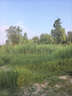 威猛先生（Mr Muscle）顽垢魔力 洁厕灵 600g*2瓶  强效洁厕剂卫生间马桶除垢去渍去异味 实拍图